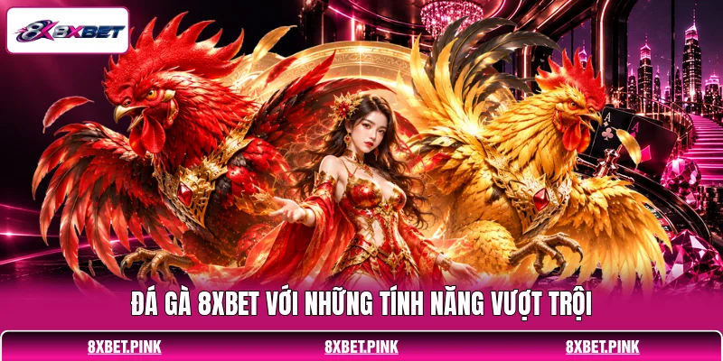 Đá gà 8XBET với những tính năng vượt trội